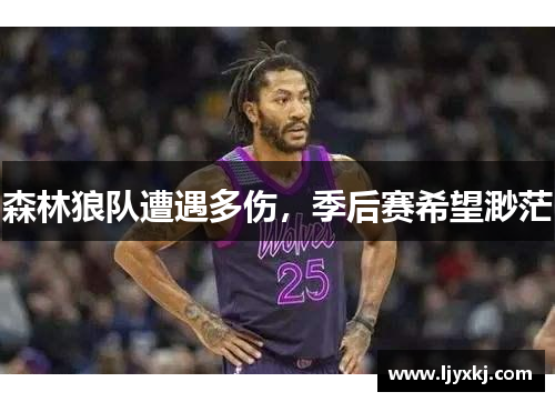 森林狼队遭遇多伤，季后赛希望渺茫