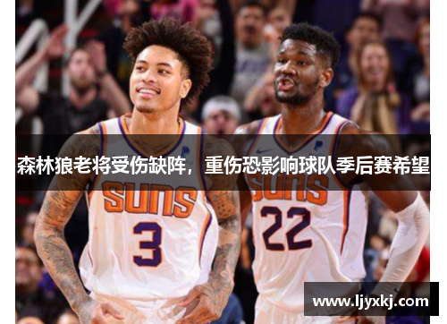 森林狼老将受伤缺阵，重伤恐影响球队季后赛希望
