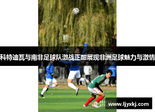 科特迪瓦与南非足球队激战正酣展现非洲足球魅力与激情