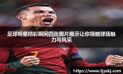 三亿(集团)体育